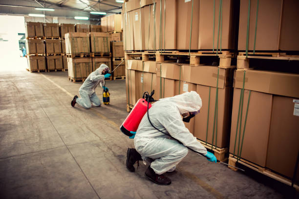 Best Pest Control Near Me in Zanesville, OH