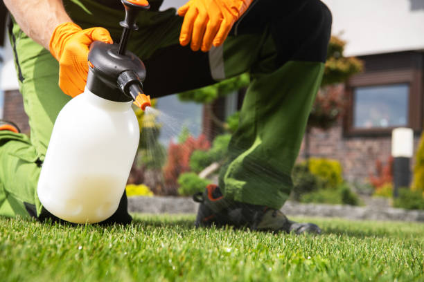 Best Pest Control Near Me  in Zanesville, OH