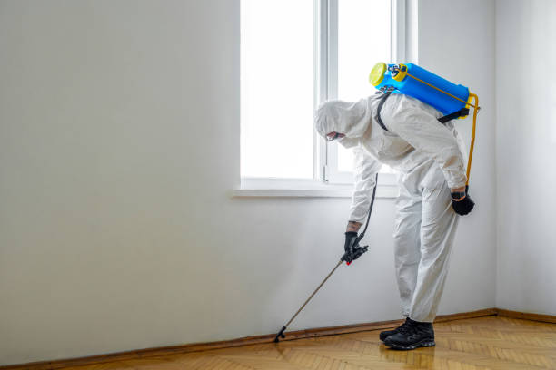 Best Residential Pest Control  in Zanesville, OH