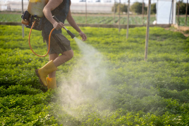 Best Affordable Pest Control Services  in Zanesville, OH