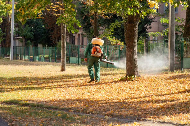 Best Pest Removal Services  in Zanesville, OH