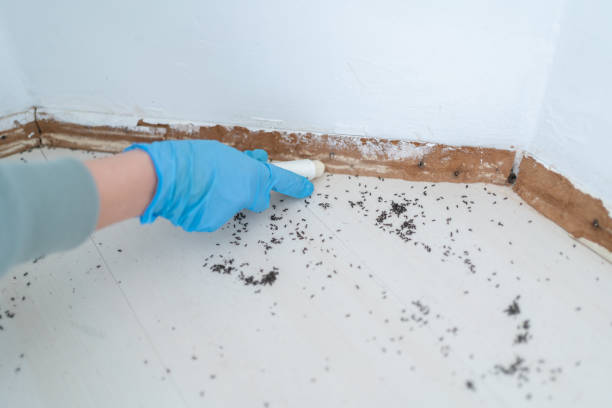Best Wildlife Control Services  in Zanesville, OH